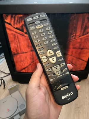 Sanyo DS31590